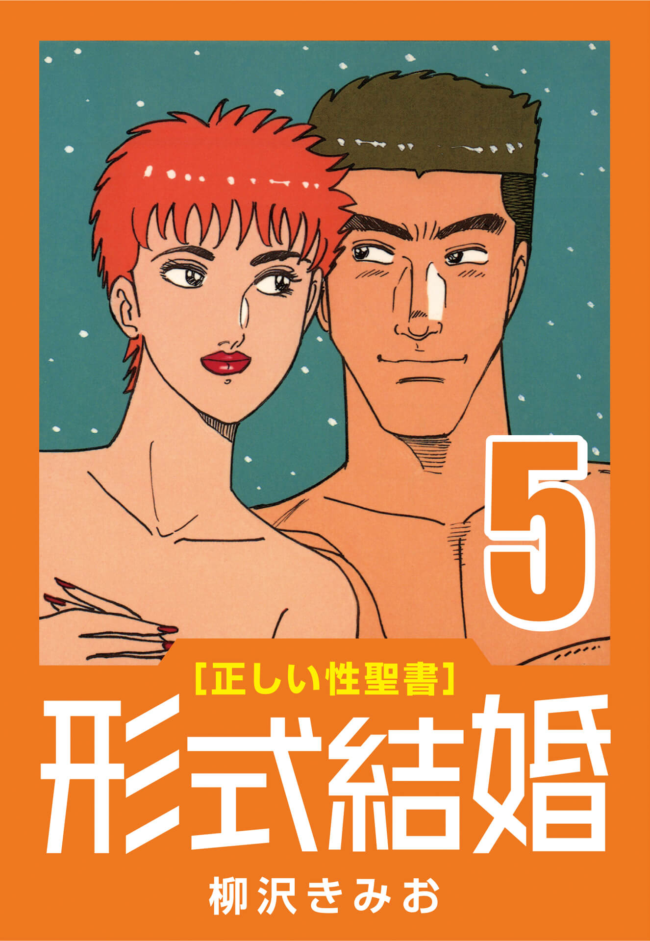 [正しい性聖書] 形式結婚 (5) 過激